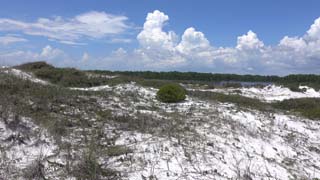 Dunes looking NE from boardwalk end